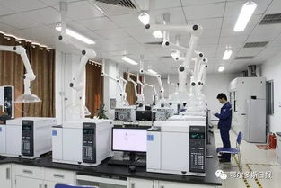 一季度鄂爾多斯經濟運行總體平穩向好，計算機系統集成產業展現活力